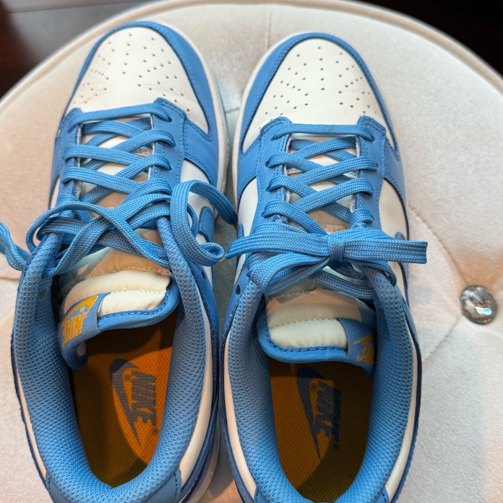 Dunk low coast